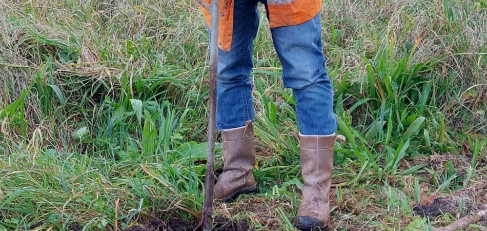 veldwerker bezig met het nemen van een grondmonster uit de bodem.